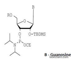 DMT-2′O-tBD-rG(ac) Phosphoramidite
