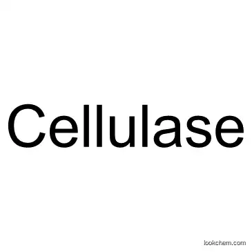 CellulaseCAS9012-54-8