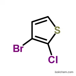 3-Bromo-2-chlorothiopheneCAS40032-73-3