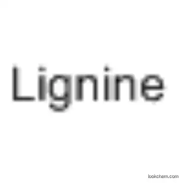LIGNINE CAS9005-53-2