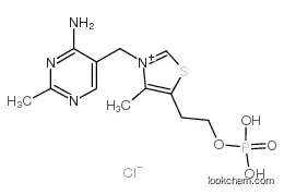 THIAMINE MONOPHOSPHATE CHLORIDE CAS532-40-1