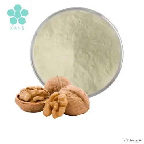 ISO Certificate Walnut Protein Powder