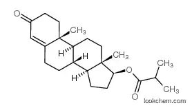 Testosterone 17-IsobutyrateCAS1169-49-9