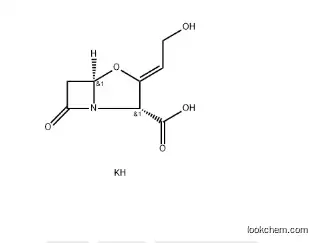 China Supplier CAS 61177-45-5 Bulk Potassium Clavulanate