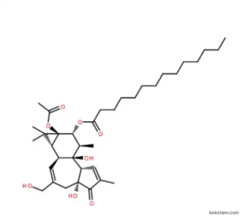 Phorbol 12-Myristate 13-Acetate, Reagent Grade, Pma, Tpa, CAS 16561-29-8