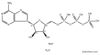 Adenosine5'-(tetrahydrogen triphosphate), disodiuM salt, trihydrate (9CI) CAS：	51963-61-2