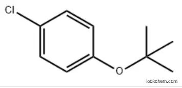 1-tert-Butoxy-4-chlorobenzene