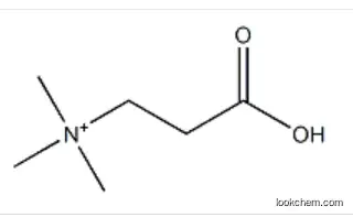 Ethanaminium, 2-carboxy-N,N,N-trimethyl- In stock