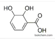 5,6-dihydroxycyclohexa-1,3-diene-1-carboxylic acid