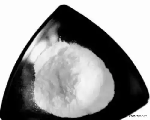 4-Methoxyphenylhydrazine Hydrochloride CAS 19501-58-7