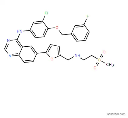 Hot Product Supply High Purity Lapatinib CAS 231277-92-2 Powder