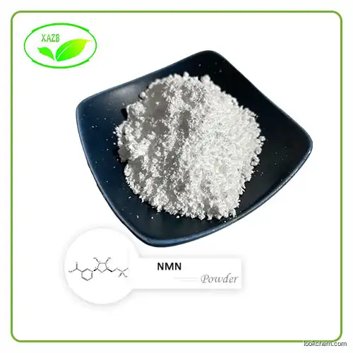 High Quality 99% NMN Powder β-Nicotinamide Mononucleotide CAS1094-61-7