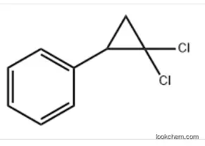 (2,2-Dichlorocyclopropyl)benzene