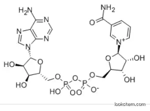 β-Nicotinamide adenine dinucleotide CAS：53-84-9