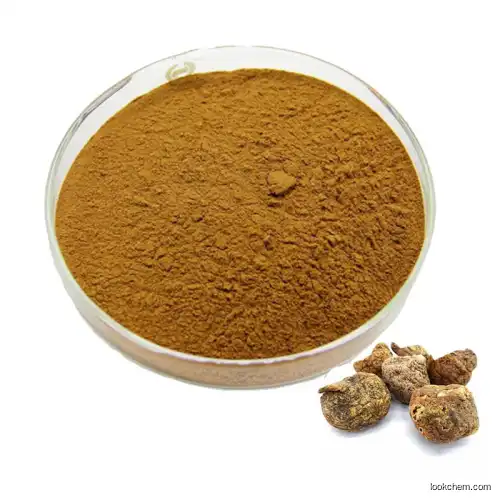 Best Price Natural Maca Extract/Maca Powder