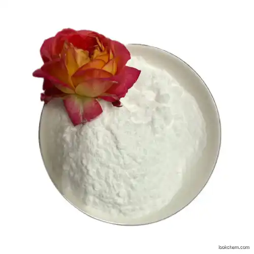 CAS No. 6937-35-5 99% Purity White Powder 2- (2-Nitroprop-1-enyl) Thiophen(6937-35-5)