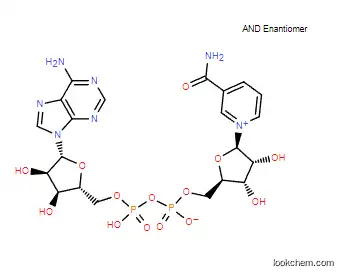 China Manufacture Supplier Nicotinamide Adenine Dinuclotide/Nad+ CAS 53-84-9 Nad