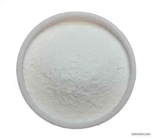 Wholesale Price High Quality Bromhexine Hydrochloride CAS 611-75-6