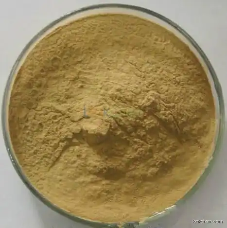 Ginkgo biloba extract. Convincing quality. High content and competitive price. Certificates are complete.