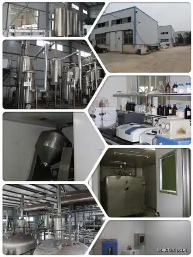 Epimedium, 10、20、40、98% icariin. Convincing quality. High content and competitive price. Certificates are complete.