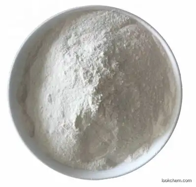 High Quality Selling TiO2 Powder High Purity CAS 13463-67-7 Titanium Dioxide