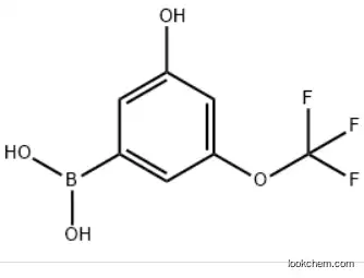 3-Hydroxy-5-(trifluoromethoxy)phenylboronic acid