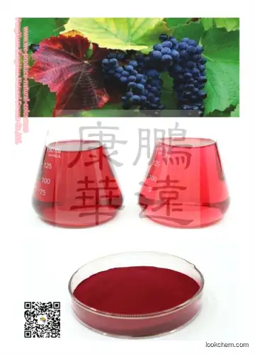 Grape Skin Extract(84929-27-1)