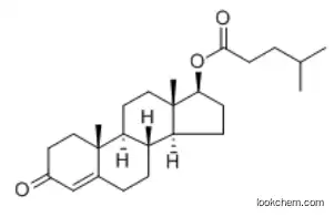Testosterone isocaproate
