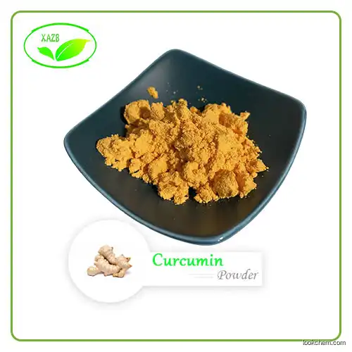 Tope Grade Ginger Extract Gingerol Powder CAS 84696-15-1