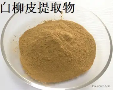 Willow Bark Extract CAS：84082-82-6