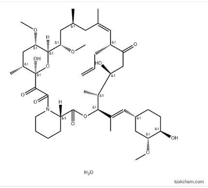 Tacrolimus Monohydrate CAS:109581-93-3