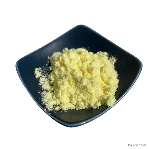 High Quality 6-Gingerol Powder Ginger Extract 23513-14-6