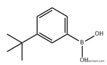 M-T-BUTYLPHENYLBORONIC ACID CAS 560132-24-3