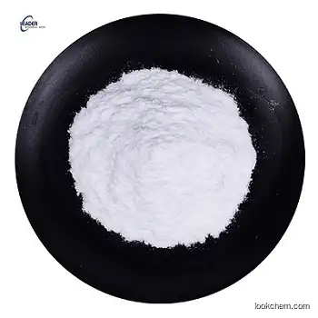 China Biggest Factory & Manufacturer supply 6-AMINO-3-METHYLPURINE  CAS: 5142-23-4