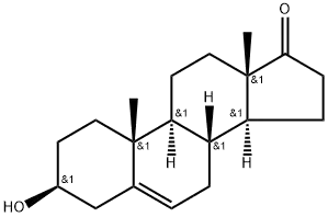 DHEA, Dehydroepiandrosterone