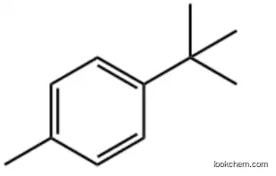 p-tert-butyl toluene CAS 98-51-1