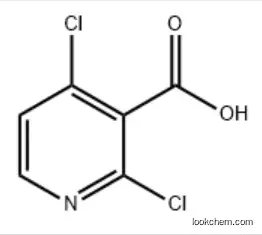 2,4-Dichloropyridine-3-carboxylic acid