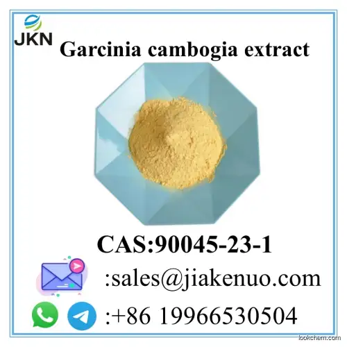 Yellow fruit extract CAS 90045-23-1 Garcinia cambogia extract