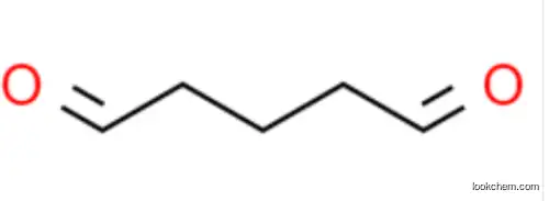 Ginkgo Biloba Extract CAS 90045-36-6/Flavone Glycosides Powder