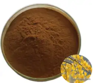 Ginkgo Biloba Extract CAS 90045-36-6/Flavone Glycosides Powder