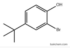 2-BROMO-4-TERT-BUTYLPHENOL CAS：2198-66-5