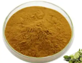 Herbal Extract API Powder CAS 539-15-1 Hordenine Powder