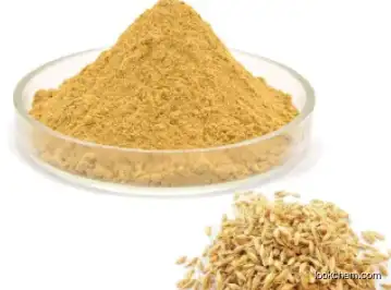 Herbal Extract API Powder CAS 539-15-1 Hordenine Powder