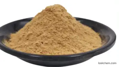 Ginsenoside CAS 72480-62-7 Ginseng Root Extract Powder