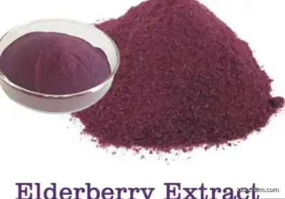 Organic Anthocyanin 5% Antioxidant CAS 84603-58-7 Elderberry Extract