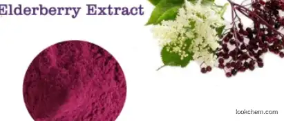 Organic Anthocyanin 5% Antioxidant CAS 84603-58-7 Elderberry Extract