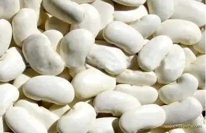 Factory supply reduce fat and lose weight white kidney bean extract CAS 85085-22-9