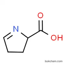 3,4-dihydro-2H-pyrrole-2-carboxylic acid