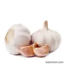 Garlic oil
