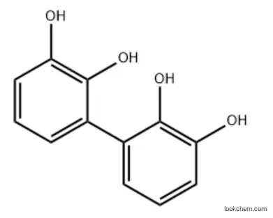 [1,1-Biphenyl]-2,2,3,3-tetrol(9CI)